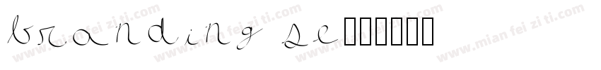 branding se字体转换